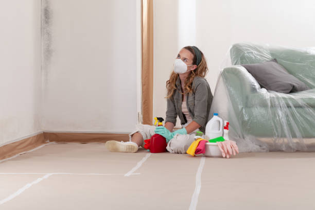 Reliable Mold Cleanup contractor in Sunnyvale, TX by Cheap Mold Removal